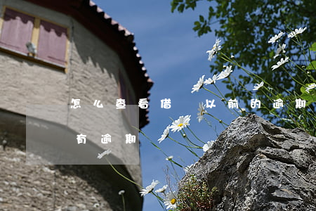 怎么查看借唄以前的逾期(怎么查看借唄有沒有逾期過)