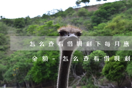 怎么查看借唄剩下每月應(yīng)還款金額-怎么查看借唄剩下每月應(yīng)還款金額多少