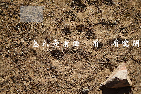 怎么查看借唄有沒有逾期(如何查看借唄欠款)