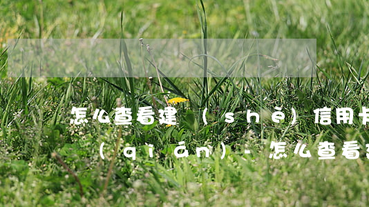怎么查看建設(shè)信用卡一共欠多少錢(qián)-怎么查看建設(shè)信用卡一共欠多少錢(qián)了