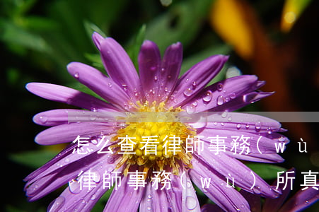 怎么查看律師事務(wù)所真假(怎么驗證律師事務(wù)所真假)