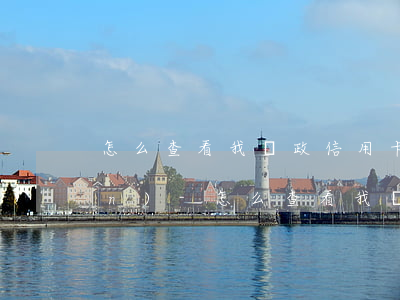 怎么查看我郵政信用卡還欠好多錢(qián)-怎么查看我郵政信用卡還欠好多錢(qián)呢