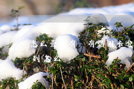 怎么查看有沒有信用卡逾期（信用卡逾期查不到怎么辦）