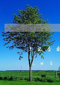 怎么查看欠網(wǎng)貸的錢(怎么查網(wǎng)貸欠款金額)