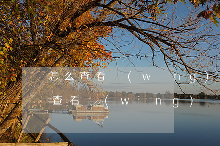 怎么查看網(wǎng)貸逾期記錄嗎(如何查看網(wǎng)貸記錄)