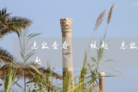 怎么查看網貸被起訴(怎么查看有沒有被網貸起訴)