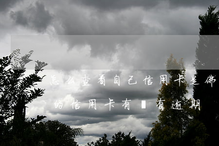 怎么查看自己信用卡是佛逾期(怎么查詢自己的信用卡有沒有逾期)