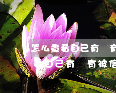 怎么查看自己有沒有被信用卡起訴-怎么查看自己有沒有被信用卡起訴了