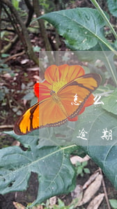 怎么查看自己有貸款逾期(怎么看自己有沒有逾期)