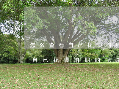 怎么查看自己花唄逾期的記錄嗎-怎么查看自己花唄逾期的記錄嗎安全嗎