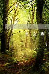 怎么查看自己逾期的是什么平台-