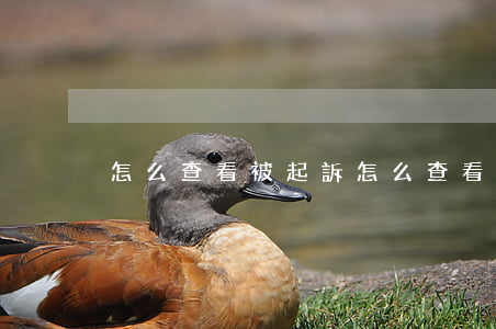 怎么查看被起訴(怎么查看被起訴時間)