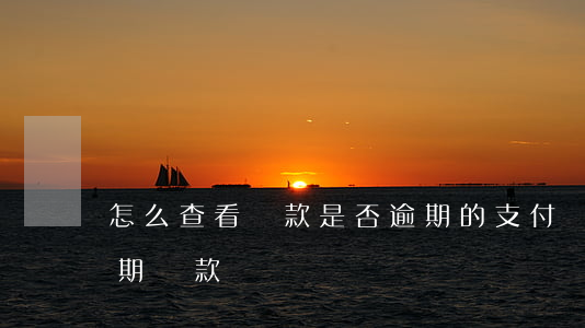 怎么查看貸款是否逾期的(支付寶怎么查看逾期貸款)
