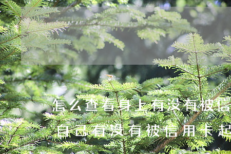 怎么查看身上有没有被信用卡起诉-怎么查自己有没有被信用卡起诉