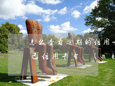 怎么查看逾期的信用卡還能不能用(怎樣查自己信用卡有沒(méi)有逾期)
