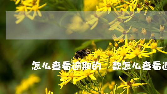 怎么查看逾期的貸款(怎么查看逾期的貸款)