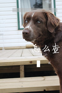 怎么查看阿里逾期訂單(淘寶怎么查過期的訂單)