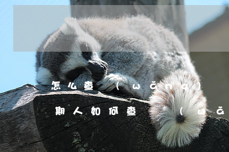 怎么查網(wǎng)絡(luò)貸款逾期人(如何查詢網(wǎng)貸欠款)