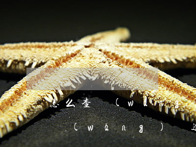 怎么查網(wǎng)貸逾期有沒有被起訴(網(wǎng)貸逾期被起訴怎么查詢是否真的)