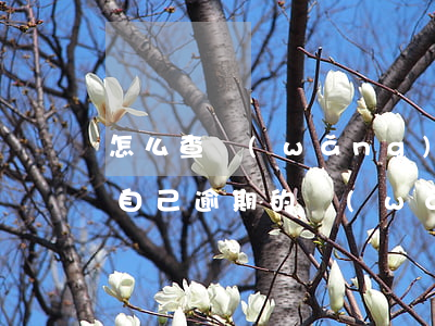 怎么查網(wǎng)貸逾期記錄嗎(怎么查自己逾期的網(wǎng)貸)