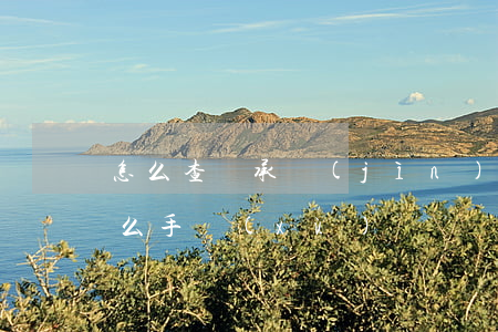 怎么查繼承進(jìn)展(繼承查詢需要什么手續(xù))