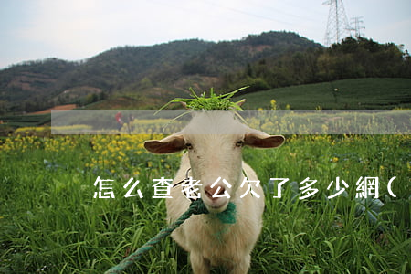 怎么查老公欠了多少網(wǎng)貸