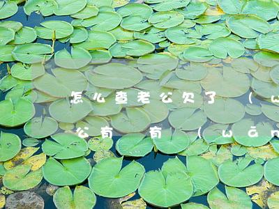 怎么查老公欠了網(wǎng)貸(如何查老公有沒有網(wǎng)貸)
