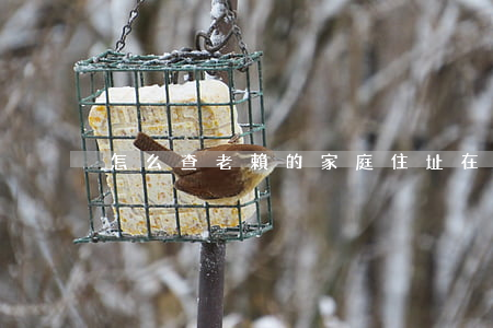 怎么查老賴的家庭住址(在哪里查老賴)