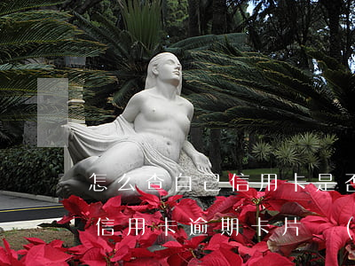 怎么查自己信用卡是否有過(guò)逾期（信用卡逾期卡片過(guò)期了怎么查本金）