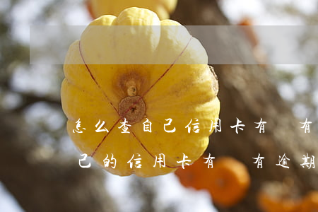 怎么查自己信用卡有沒有逾期-如何查看自己的信用卡有沒有逾期