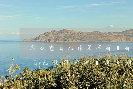 怎么查自己信用卡有沒有逾期記錄-怎么查自己信用卡有沒有逾期記錄呢