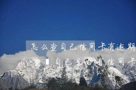 怎么查自己信用卡有逾期沒(méi)(如何查詢自己是否有信用卡逾期)