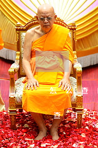 怎么查自己信用卡逾期天數(shù)(怎么查自己信用卡逾期天數(shù))