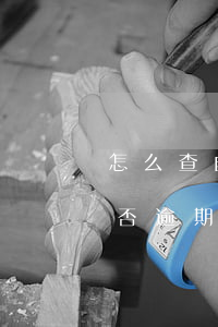 怎么查自己信用卡逾期情況(如何查信用卡是否逾期)