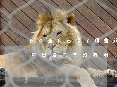 怎么查自己借了哪些網(wǎng)貸(怎么查出自己有沒有網(wǎng)貸)