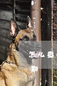 怎么查自己哪個信用卡逾期(怎樣查信用卡逾期)