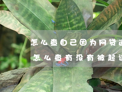 怎么查自己因为网贷逾期被起诉-网贷逾期怎么查有没有被起诉