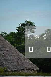 怎么查自己因為網(wǎng)貸逾期被起訴-網(wǎng)貸逾期怎么查有沒有被起訴