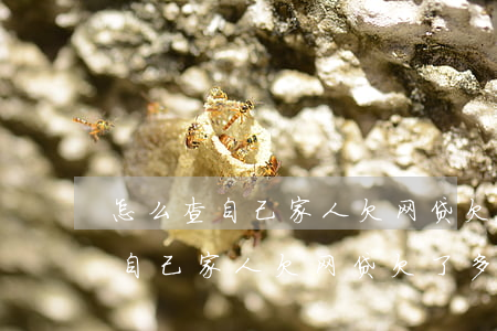 怎么查自己家人欠网贷欠了多少钱-怎么查自己家人欠网贷欠了多少钱呢