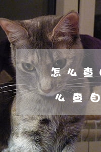 怎么查自己是不是欠了網(wǎng)貸(怎么查自己是不是欠了網(wǎng)貸)