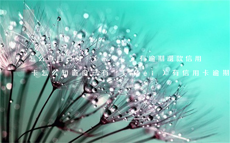 怎么查自己有沒(méi)有逾期還款信用卡(怎么知道自己有沒(méi)有信用卡逾期)