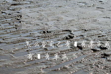 怎么查自己有沒有案底或不良記錄(咋查自己有沒有案底)