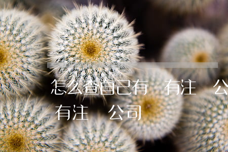 怎么查自己有沒有注冊公司(如何查自己有沒有注冊公司)