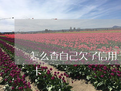 怎么查自己欠了信用卡(怎么查自己欠了信用卡沒)