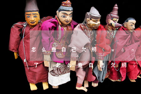 怎么查自己欠網(wǎng)貸逾期被起訴了-怎么查自己欠網(wǎng)貸逾期被起訴了沒