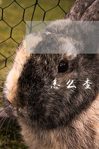 怎么查自己的信用卡逾期了