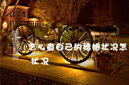 怎么查自己的婚姻状况(怎么查询自己的婚姻状况?)