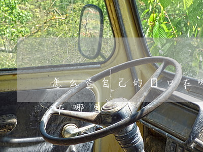 怎么查自己的戶口在哪里(如何查詢自己戶口在哪里)