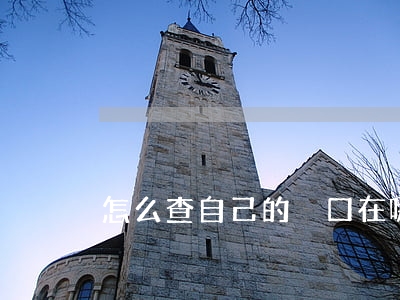 怎么查自己的戶口在哪里(戶口所在地查詢)