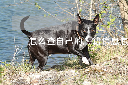 怎么查自己的戶籍信息(怎樣查自己的戶籍)